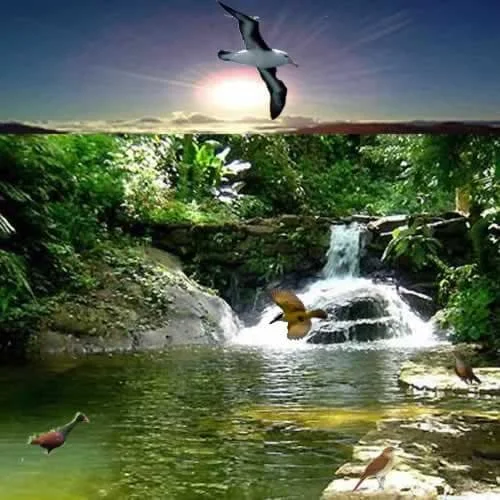 Mágica Manhã - Mundica Fontes