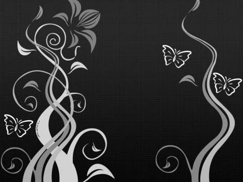 O Menino e a Borboleta